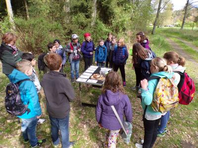 Foto des Albums: Waldolympiade 2017