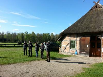 Foto des Albums: Waldolympiade 2017