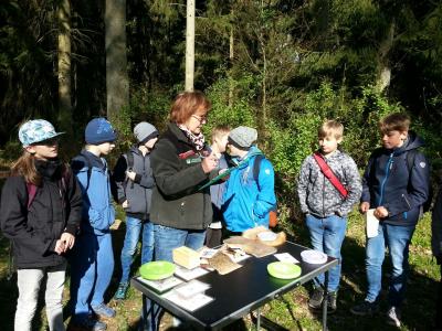 Foto des Albums: Waldolympiade 2017