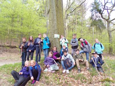 Foto des Albums: Waldolympiade 2017