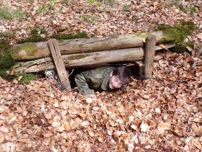 Foto des Albums: Waldolympiade 2017