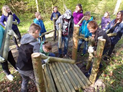 Foto des Albums: Waldolympiade 2017