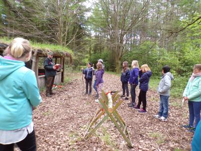 Foto des Albums: Waldolympiade 2017