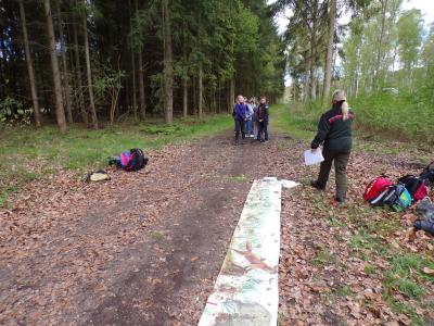 Foto des Albums: Waldolympiade 2017