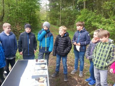 Foto des Albums: Waldolympiade 2017