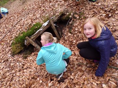 Foto des Albums: Waldolympiade 2017