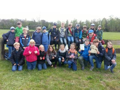 Foto des Albums: Waldolympiade 2017
