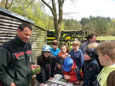 Foto des Albums: Waldolympiade 2017