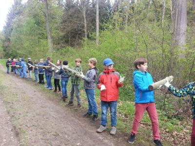 Foto des Albums: Waldolympiade 2017