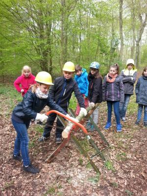 Foto des Albums: Waldolympiade 2017