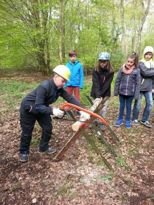 Foto des Albums: Waldolympiade 2017