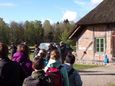 Foto des Albums: Waldolympiade 2017