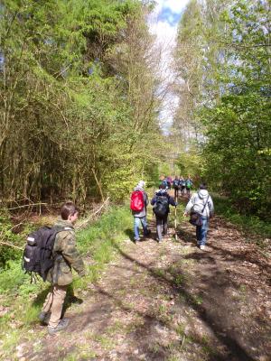 Foto des Albums: Waldolympiade 2017