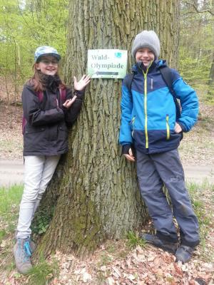 Foto des Albums: Waldolympiade 2017