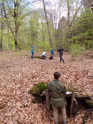 Foto des Albums: Waldolympiade 2017