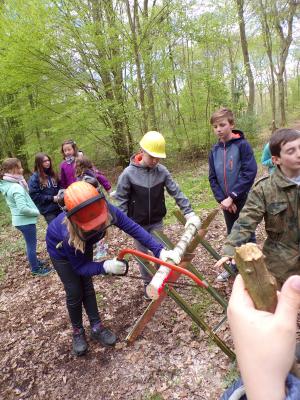 Foto des Albums: Waldolympiade 2017