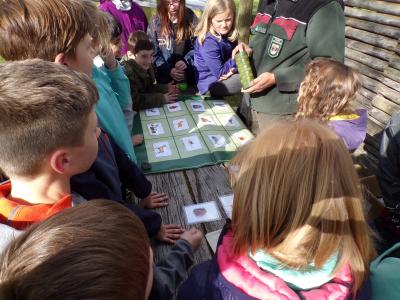 Foto des Albums: Waldolympiade 2017