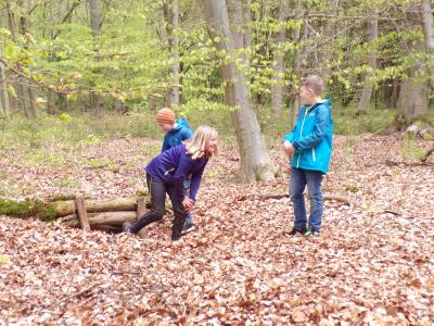 Foto des Albums: Waldolympiade 2017