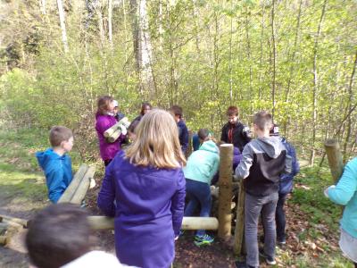 Foto des Albums: Waldolympiade 2017