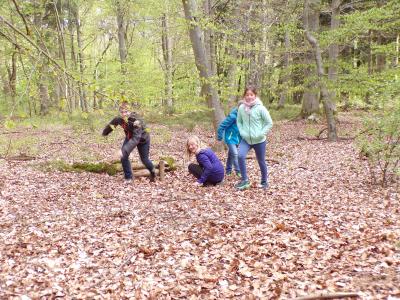 Foto des Albums: Waldolympiade 2017