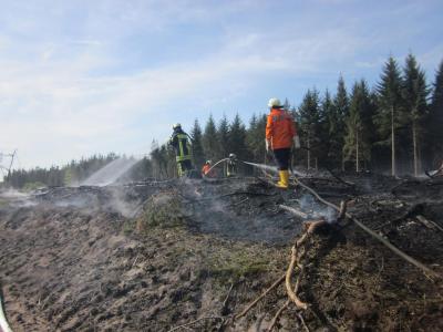 Foto des Albums: Einsatz Flächenbrand