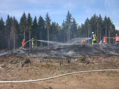Foto des Albums: Einsatz Flächenbrand