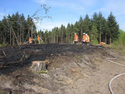 Foto des Albums: Einsatz Flächenbrand