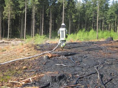 Foto des Albums: Einsatz Flächenbrand