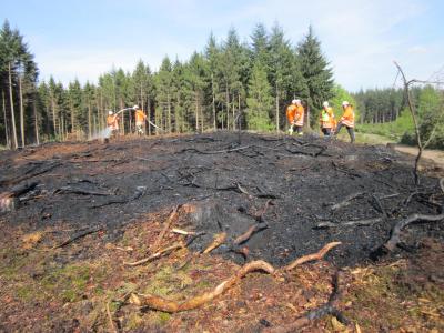 Foto des Albums: Einsatz Flächenbrand