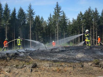 Foto des Albums: Einsatz Flächenbrand