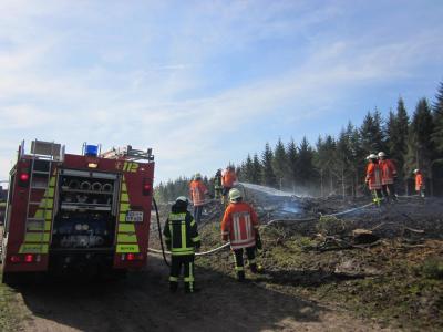 Foto des Albums: Einsatz Flächenbrand