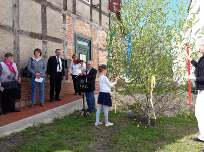 Foto des Albums: Maibaumschmücken in Breetz mit "Musica Mia"
