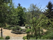 Der Kr&auml;utergarten  