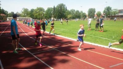 Foto des Albums: Leichtathletik-Wettbewerb in Königs Wusterhausen am 18.05.2017