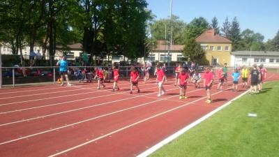 Foto des Albums: Leichtathletik-Wettbewerb in Königs Wusterhausen am 18.05.2017