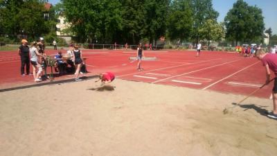 Foto des Albums: Leichtathletik-Wettbewerb in Königs Wusterhausen am 18.05.2017