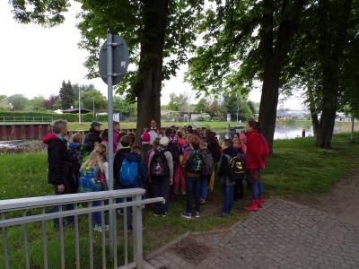 Foto des Albums: Auf der Erbsenspur in Parchim