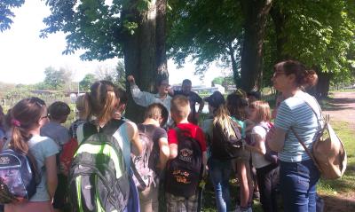 Foto des Albums: Auf der Erbsenspur in Parchim