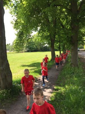 Foto des Albums: Training der Laufgruppe am Crivitzer See