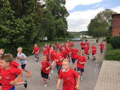 Foto des Albums: Training der Laufgruppe am Crivitzer See