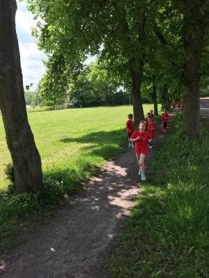 Foto des Albums: Training der Laufgruppe am Crivitzer See