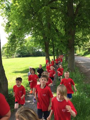 Foto des Albums: Training der Laufgruppe am Crivitzer See