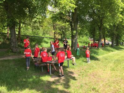 Foto des Albums: Training der Laufgruppe am Crivitzer See