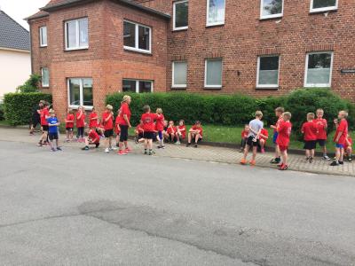 Foto des Albums: Training der Laufgruppe am Crivitzer See