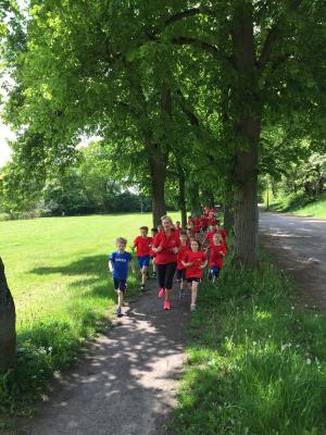 Foto des Albums: Training der Laufgruppe am Crivitzer See