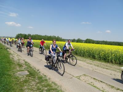 Foto des Albums: Die Tour de Prignitz-Radler bei Drewen (19.05.2017)
