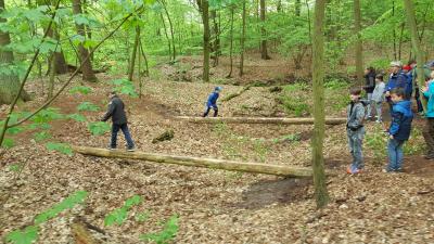 Foto des Albums: Waldolympiade Waldring-Grundschule (16.05.2017)