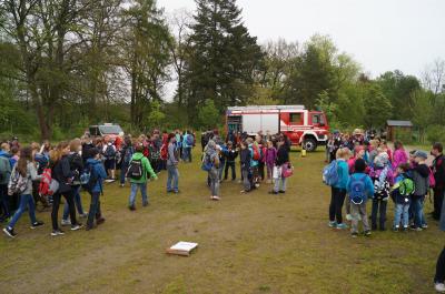 Foto des Albums: Waldolympiade Waldring-Grundschule (16.05.2017)