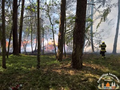 Foto des Albums: Einsatz Nr. 826 B: Wald