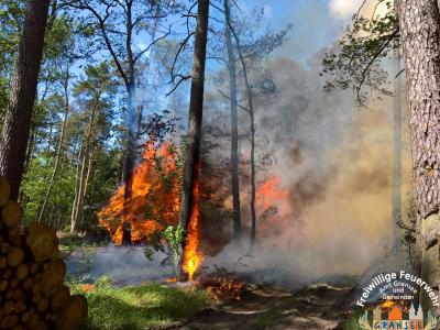 Foto des Albums: Einsatz Nr. 826 B: Wald